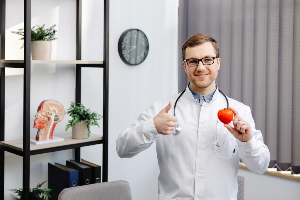 Doctor holding red heart model for cardiovascular health awareness